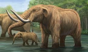 Pin By Elaine Gilbert On Age Of Mammals Prehistoric Wildlife Prehistoric World Prehistoric Animals