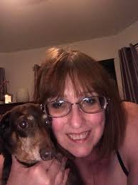 Looking for a mini dachshund