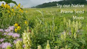 The plant center is open to the public and easily accessible. Welcome To Agrecol Native Nursery Native Seed Plant Nursery