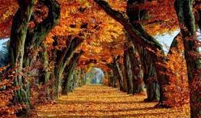 Macbook Wallpaper Desktop Wallpapers Autumn 43 Ideas Desktop Wallpaper Fall Fall Wallpaper Laptop Wallpaper Desktop Wallpapers