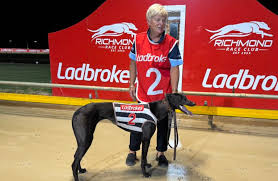 Saffron Bale Greyhound