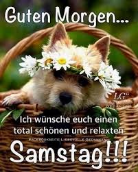 We did not find results for: Guten Morgen Bilder Am Samstag Gb Bilder Gb Pics Gastebuchbilder Guten Morgen Lustig Guten Morgen Samstag Guten Morgen
