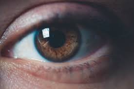 Eye surgery associates of swva. Lasik Surgery Never Should Have Been Approved Former Fda Advisor Says Phillyvoice