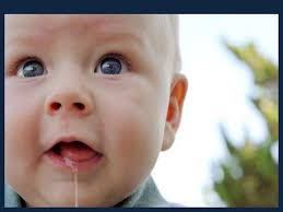 Fruits: Fennel, Ammi visnaga & Ammi visnaga 2023.pdf