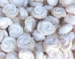 Check spelling or type a new query. 50 Sola Shell Flowers Bundle Luv My Flowers Wholesale