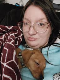 Introduction of a chiweenie pet