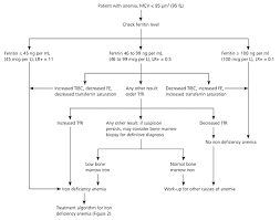 iron deficiency anemia american family physician