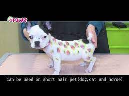 Opawz Paint Pen Tutorial Creative Grooming Luxury Pet Creative
