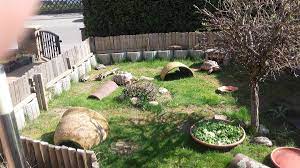 Nur eine artgerechte außen haltung kann euch lange an euren tieren erfreuen. Freigehege Fur Griechische Landschildkrote Spornschildkrote Und Breitrandschildkrote Landschildkroeten De