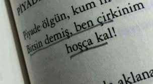 Nilgunmarmara Oyle Guzelsin Ki Kus Koysunlar Yoluna Kitap Alintilari Alintilar Kitap