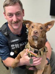 National Women's Coalition Against Violence & Exploitation (NWCAVE) added a  new photo — at Clark County Sheriff's Office Search...