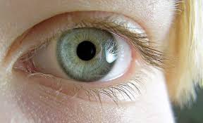 Something In Your Eyes For Your Eyes Only Blue Eyes Aesthetic Light Blue Eyes Cool Eyes