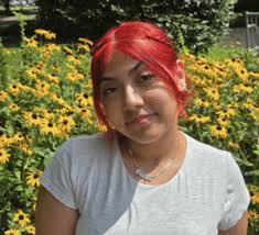 Franklin Square welcomes new historic landmark