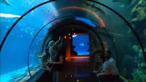 Shark Reef Aquarium At Mandalay Bay Las Vegas Nevada Youtube