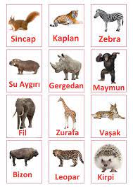 0 2 yas bebekler icin kelime kartlari hayvan kartlari kartlar duygusal aktiviteler
