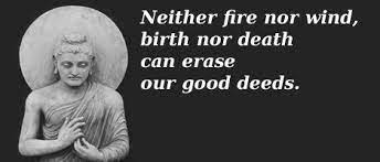 Fighters quotes about rebirth : Famous Fire And Rebirth Quotes Quotesgram