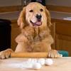 Story image for Sardine Cake Recipe For Dogs from DogTime