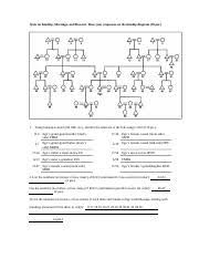 6 9 Quiz On Kinship Residence Marriage Descent Doc