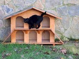 beykoz da kedilere ev kedi evi evler kedi
