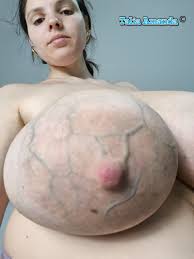 TW Pornstars - Talia Amanda Official. Twitter. So, tell me, do you like my  veiny tits? @Veiny_Boobs. 4:14 PM - 20 Nov 2022