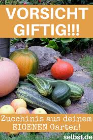 Giftige Kurbis Sorten Selbst De Zucchini Pflanzen Tomaten Garten Kurbis Pflanzen