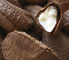 These nuts grow inside a round shell which is similar to coconut in appearance. Brazil Nuts Pandemic Affect White Lion Food