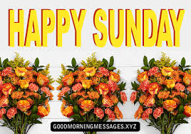 Good morning sunday images and quotes. 101 Good Morning Sunday Messages And Images Best Collection