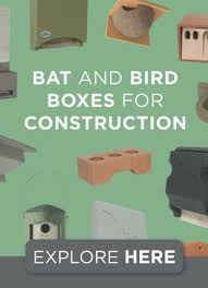 Image result for Nesogenaceae