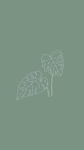 Monstera Leaf Minimalist Drawing Minimalist Drawing Iphone Wallpaper Images Drawing Wallpaper Green eye beautiful aesthetic delicate soft canva wallpaper. monstera leaf minimalist drawing