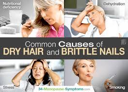 Hair can absorb up to 30 per cent of its own weight in water. Common Causes For Dry Hair And Brittle Nails Menopause Now