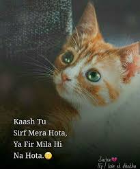 Pin By Ali On Diary Cute Love Quotes Cute Love Mera