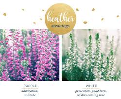 Heather Meaning And Symbolism Ftd Com Heather Meaning Heather Flower Teal Wedding Flowers