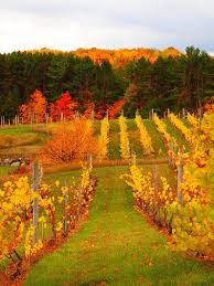 Yahoo Login Pure Michigan Scenery Scenic