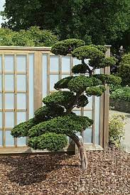 Pin By Whitney Butcher On Backyard Japanese Garden Japanese Garden Style Small Japanese Garden