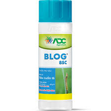 Blog 8SC