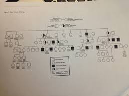 Above is a pedigree of the royal family of europe that. Hemophilia Pedigree Worksheet Printable Worksheets And Activities For Teachers Parents Tutors And Homeschool Families