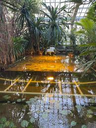 Palmiarnia jest jednym z największych tego typu obiektów w europie. Palmiarnia Poznan Godziny Otwarcia Ceny Biletow Limity Osob Informator Poznan Eska Pl