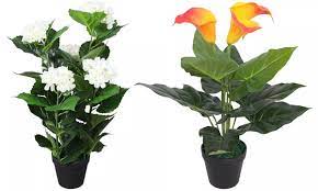 Piante finte e fiori artificiali di ottima qualitá fedeli al dettaglio, di ogni genere, tipo e grandezza, come alberi (di natale e non), palme, fiori e mazzi, cactus e piante verdi. Fino A 48 Su Piante Artificiali Fiorite Groupon