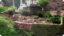 While all plants provide benefit to the ecosystem, native plants offer more of those benefits while also requiring less intensive care. Lawn Maintenance Louisville Ky Wayne S Lawn Service
