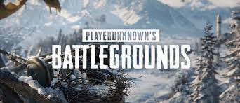 Fixed Pubg Not Launching Driver Easy