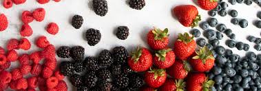 Check spelling or type a new query. Sunterra Edmonton Thanksgiving