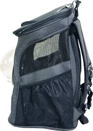 Ample ventilation ensures your cat is safe & comfortable. Fat Cat Cat Backpack Carrier Cat Backpack For Cats Of Amazon Com Au Pet Supplies