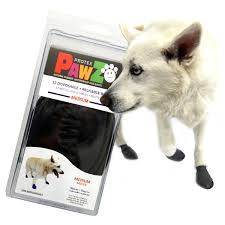 Pawz Waterproof Rubber Dog Boots Medium 12ct