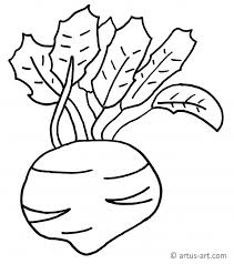 Rote Beete Ausmalbild Gratis Ausdrucken Ausmalen Artus Art
