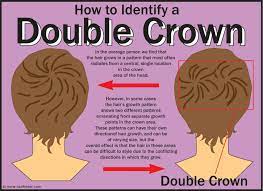 Looking for a good deal on hair swirl? How To Get Over The Problem Of A Double Crown Hair Hairstyle
