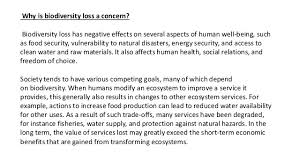 Biodiversity Loss And Conservation Biology