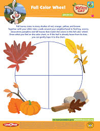Fall Color Wheel From Nature Cat