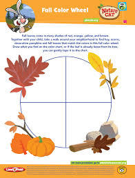 fall color wheel from nature cat