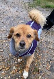 Land sucks! Stay wet my friends ☀🏖🌊🛥