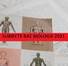 Vă readucem aminte că în vară, în luna iunie, la anatomie şi genetică a fost extrasă varianta numărul. Bobekyqjn9fqxm